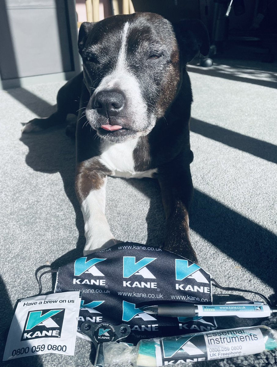 Princess Leia (yes that’s my dogs name) says “make sure to come along to <a href="/PhexShow/">PHEX</a> to get some <a href="/kaneanalysers/">KANE</a> goodies” #TEAMKANE #PHEX