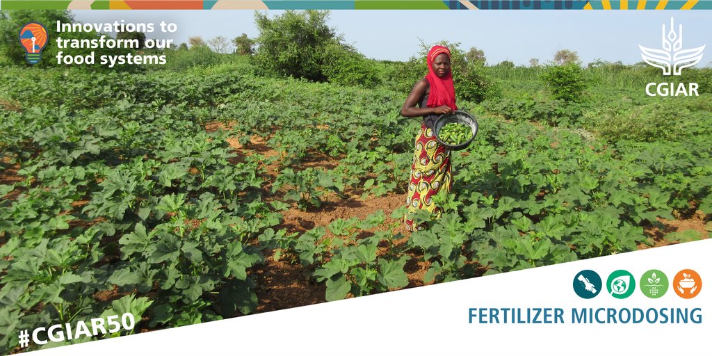 CGIAR tweet media