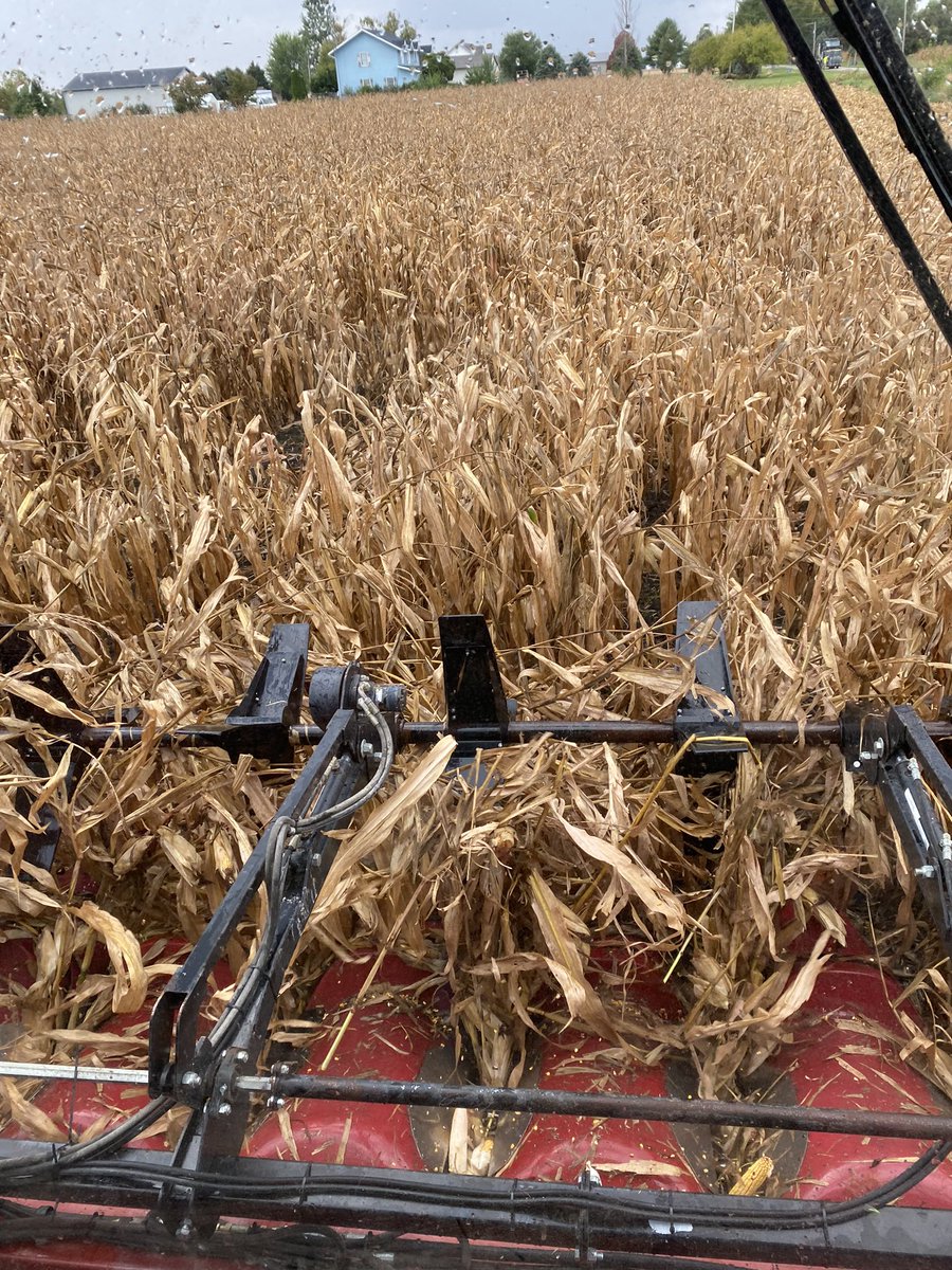 If i leave 20-30 bushel/acre on the ground, can we count that as a carbon credit cover crop?? 👎