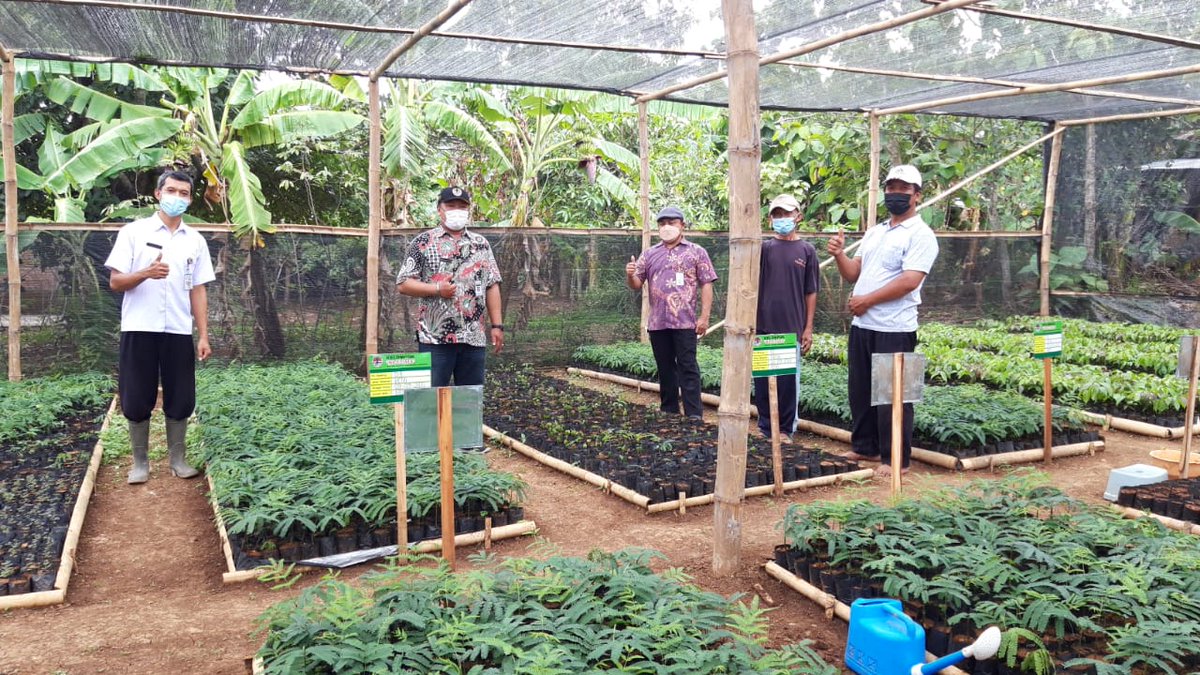 cdk10dlhkjateng's tweet photo. Monev 2 unit Kebun Bibit Rakyat di Wonosari dan Rejosari Kec. Gondangrejo Kab. Karanganyar masing-masing memproduksi bibit 35.000 btg jenis Akasia, Alpukat, Petai, Jengkol semoga tumbuh baik dan siap tanam saat musim hujan tiba @dlhkprovjateng @widi_artanto https://t.co/6YDAcITgZr