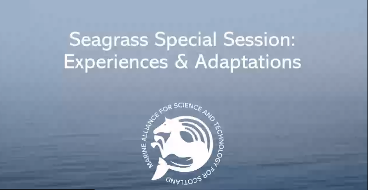 DarylBurdon's tweet photo. Joining @mastscot #MASTSasm2021 late today but really looking forward to the next session hearing about a range of seagrass projects. Particularly interested to hear from @TheLobsterDoc @YorksWildlife about his work with @UniOfHull in the #HumberEstuary #EcosystemServices https://t.co/nBcRoNmp4w