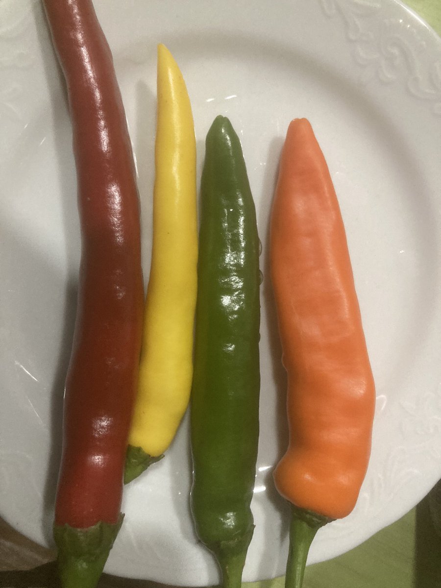 우울했는데;;
보는 순간 왠지 기분이 좋아짐.ㅋㅋ