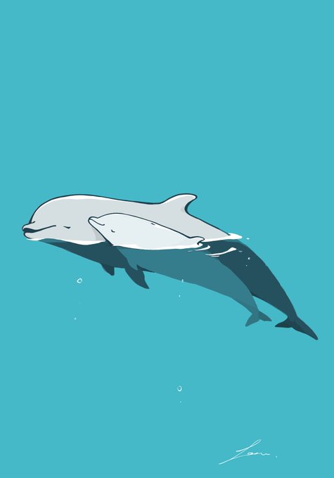 イルカ 高画質 のtwitterイラスト検索結果