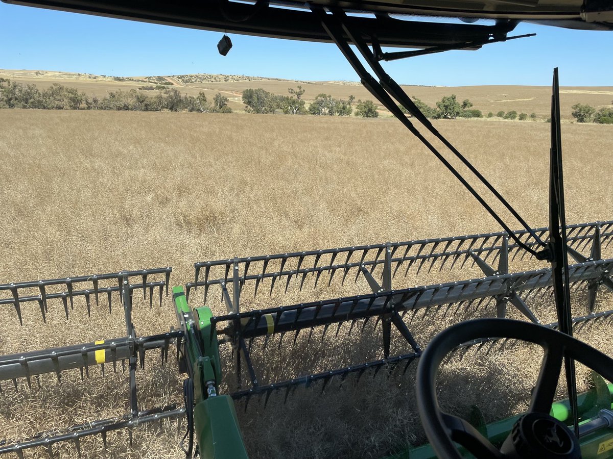 First day of harvest,ups and downs😂😂#harvest21