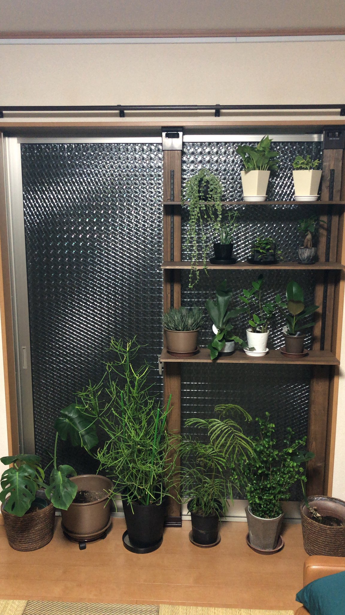 Naka 目隠しになるガラスシートを貼った掃き出し窓の前 棚の設置が完了 この部分の完成度は7割くらい あとはアレを吊るしたりします 鉢を変えたり揃えたりもしたいので 来年の春まで続く予定です 自宅緑化計画 Diy インテリア 観葉植物