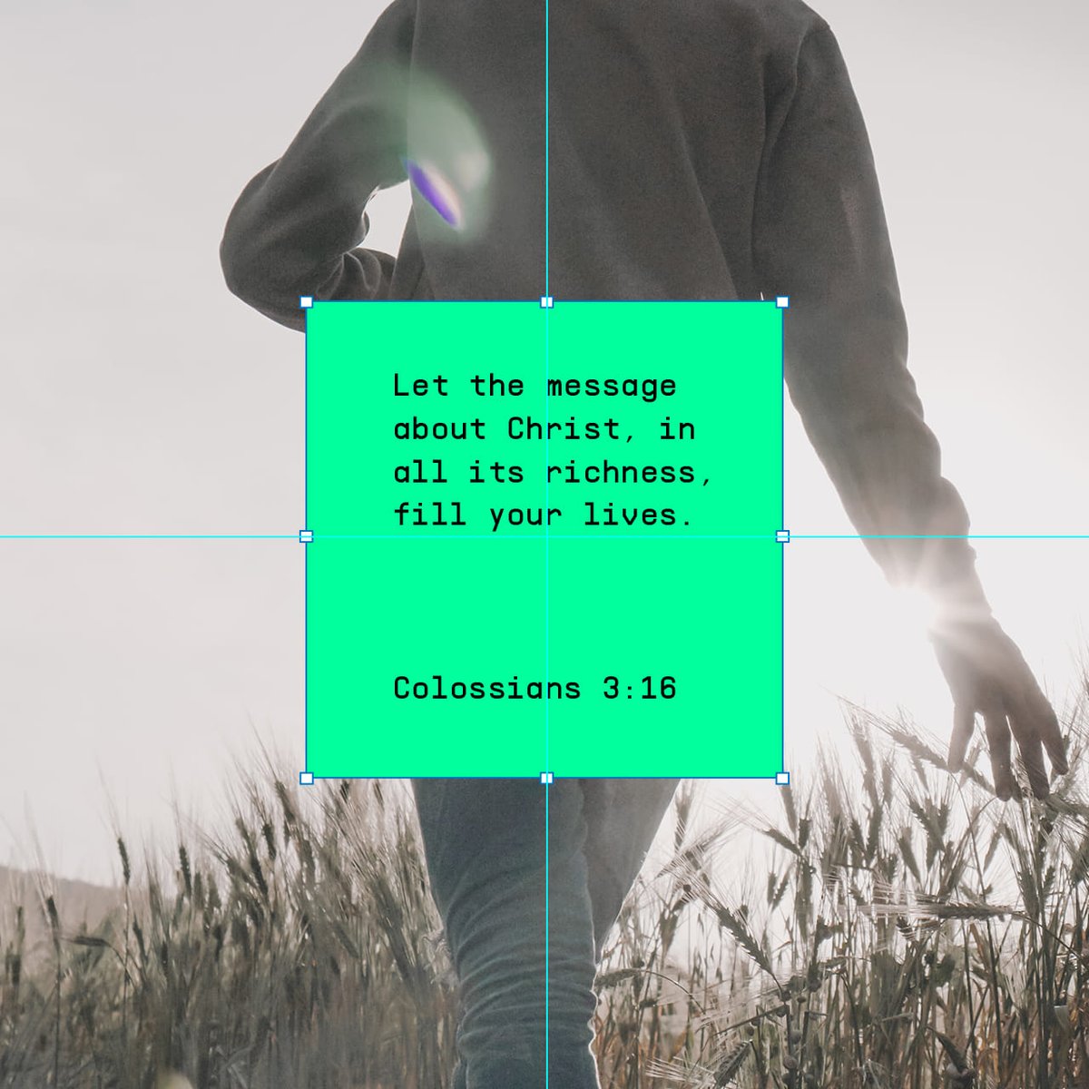 Daily_Bible tweet picture