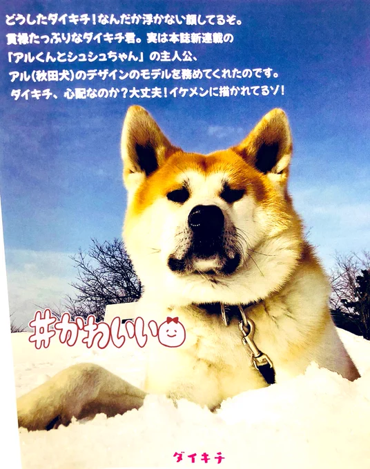 4コマの主人公「アルくん」は、秋田犬の「ダイキチくん」がモデルになってくれました〜🐶✨

予想以上に大きくてビックリしましたが、貫禄があって可愛かったなぁ🥰✨
#4コマ漫画 
#4コマ 
#秋田犬 #犬 