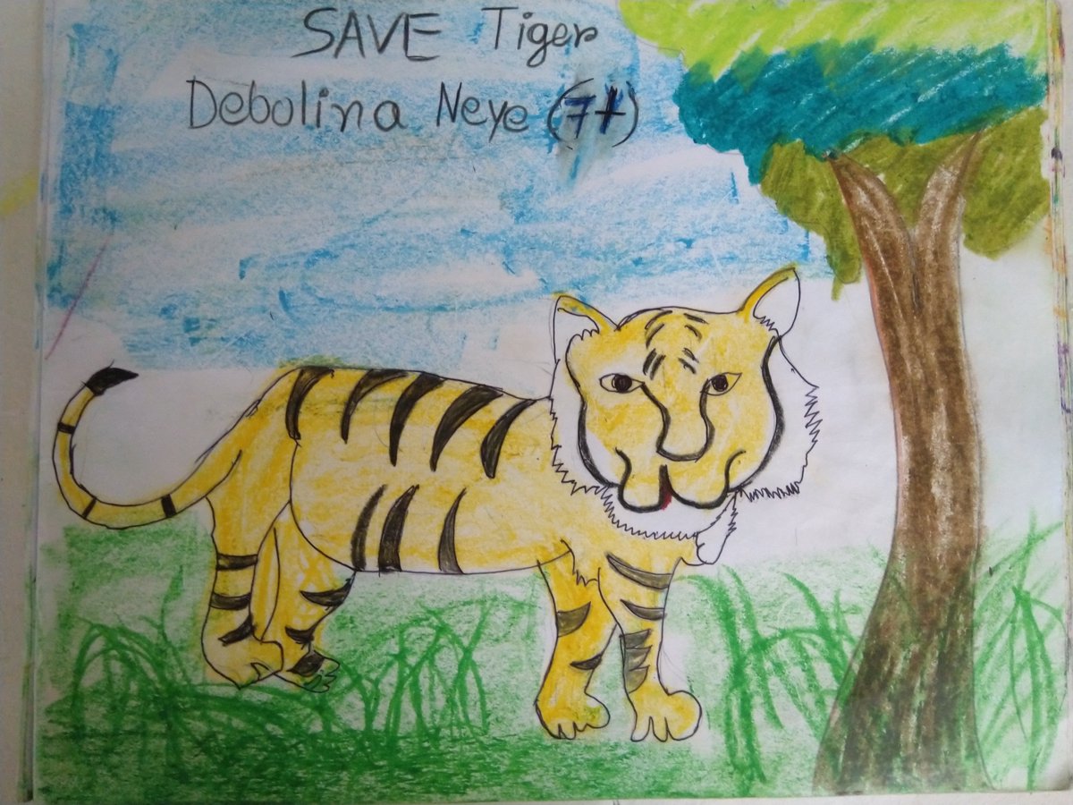 Here's a beautiful tiger drawing from our next young naturalist, 7 year old Debolina Neye, and a heartwarming message to go along with it! 

#youngconservationists #empowering #youngnaturalists #WildlifeWeek2021 #wildlifeweek #nationalwildlifeweek #cwsindia