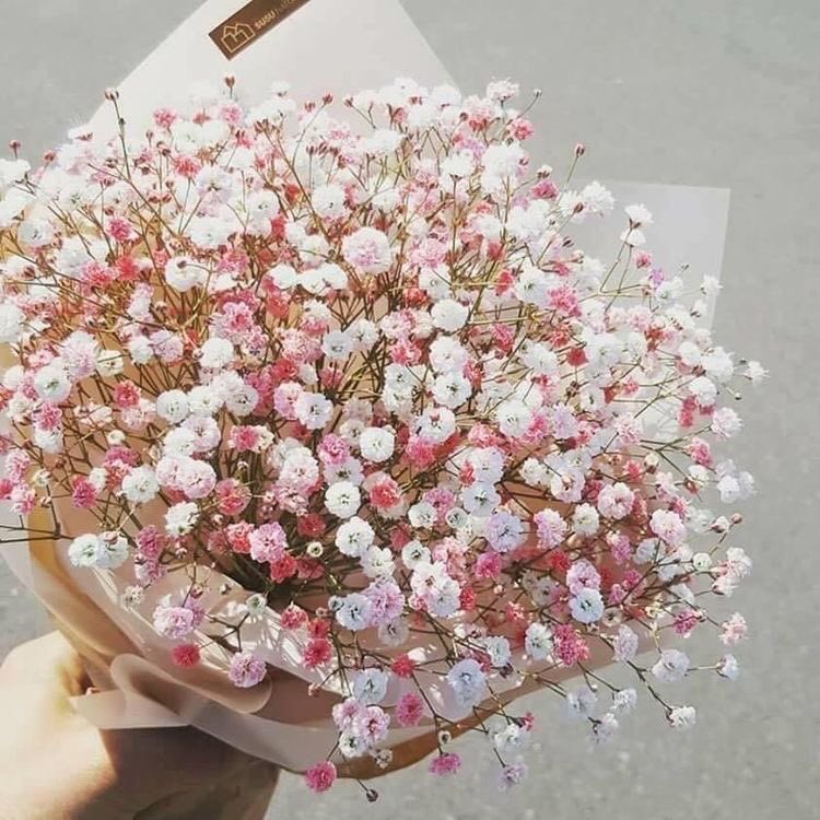 ─── ･ ｡ﾟ☆: .☽ . :☆ﾟ. ─── INCOMING DELIVERY IN PROCESS ─── ･ ｡ﾟ☆: .☽ . :☆ﾟ.───
~
TO:
<a href="/write_wave/">W R I T E W A V E🌊</a> 

FROM:
@kyscaIs

🌺
 ｡ﾟ☆:

MESSAGE: im super nervous but ive had a crush on u for a really long time O///O will you go out with me?