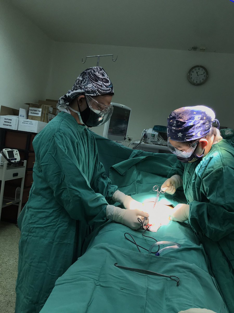YukiJuliusNg's tweet photo. 6/10/21
Today I had the privilege to order my first #10blade 

First op was bilateral tubal ligation, one of the 44 essential surgical skills needed for any district level hospital to be providing according to the #DCP3

#ILookLikeASurgeon #Globalsurgery #SoMe4Surgery https://t.co/MQVtNMX8ft