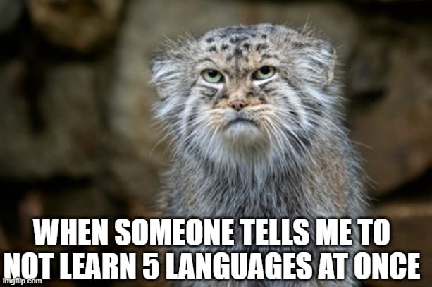 FarsleyLanguage tweet picture