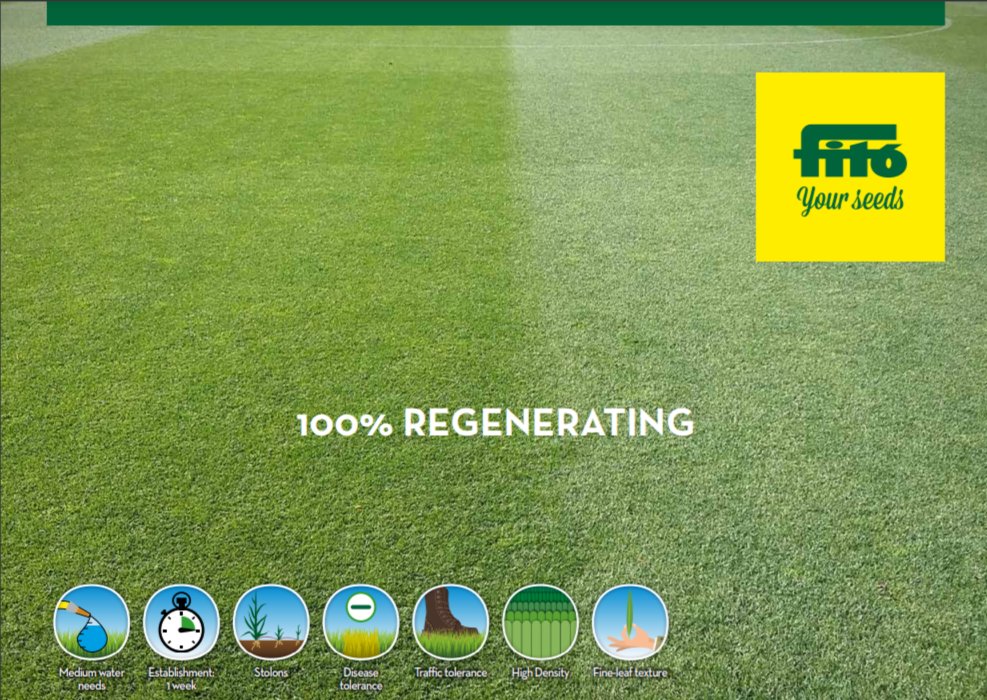 SemillasFitoTG's tweet photo. 👉 #CreepingRye is one of our heavy-duty #turfgrass blend with 100% perennial rye varieties showing lateral growth and a deep dark green colour 🟢
 
🌱 Choose it if you need a variety for filling worn areas in any mixture or situation 👌
 
https://t.co/SvW0DiOfPR https://t.co/TqyPtbV94q