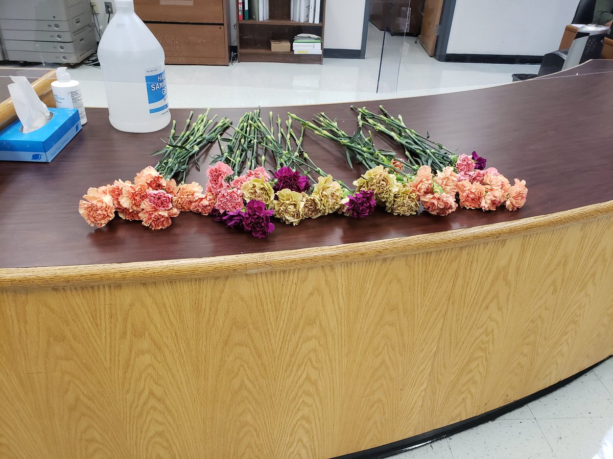 MsLRoberson's tweet photo. #QMSStars delivering flowers to our wonderful teachers! Happy World Teachers' Day! https://t.co/0Z7jOQdccH