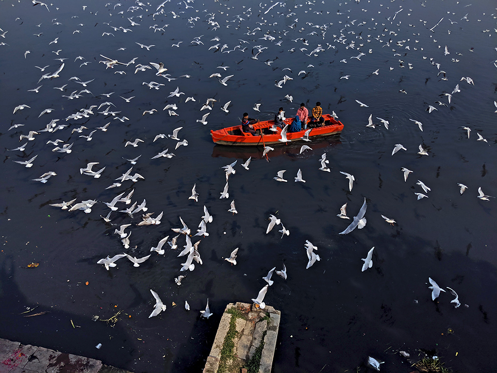 NGTIndia's tweet photo. Come winter, #NigambodhGhat in #NewDelhi soars with life as thousands of #SiberianSeagulls migrate to the banks of the #Yamuna river. @sunil109097 photographed the birds encircling a boat.
Send us your #DailyShot entries for our theme #AerialAngles at contest@natgeotraveller.in https://t.co/2md9B7BvQF