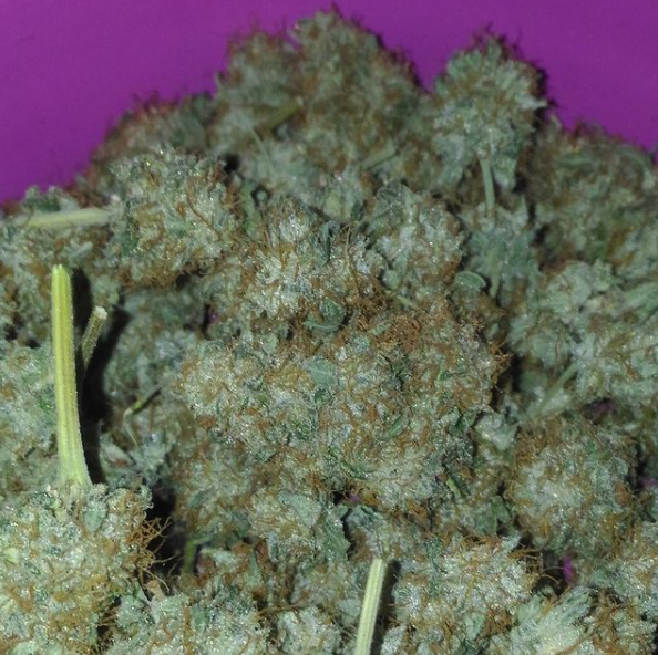 "A vasta noite não passa agora de um aroma". - Jorge Luis Borges.
_
foto @thcameraphoto