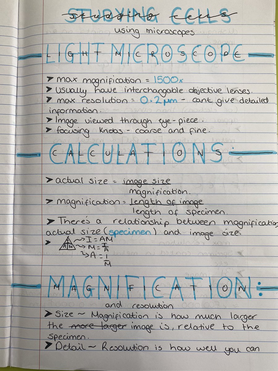 Moreton Team 9 tweet media