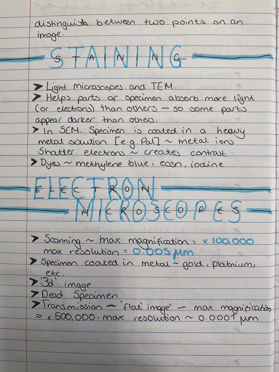 Moreton Team 9 tweet media