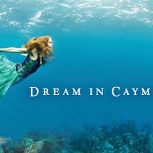 IsolationRun's tweet photo. If you enter a virtual race @Cayman_Islands @CaymanAirways @caymanmarathon do you dream while you run? #wednesdaythought #WisdomWednesday #WednesdayMotivation #runnerswanted #beachlife #justrun #runcayman #goodtimesrunning https://t.co/vkKtxqWJZr
