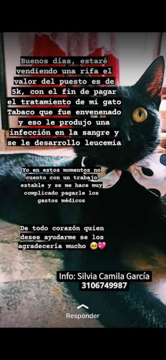 IvanTello_9's tweet photo. Hola, los que puedan ayudar ahí está toda la info, ayudemos a Tabaco. Dios los bendiga ❤️ https://t.co/EJczrVmqoH