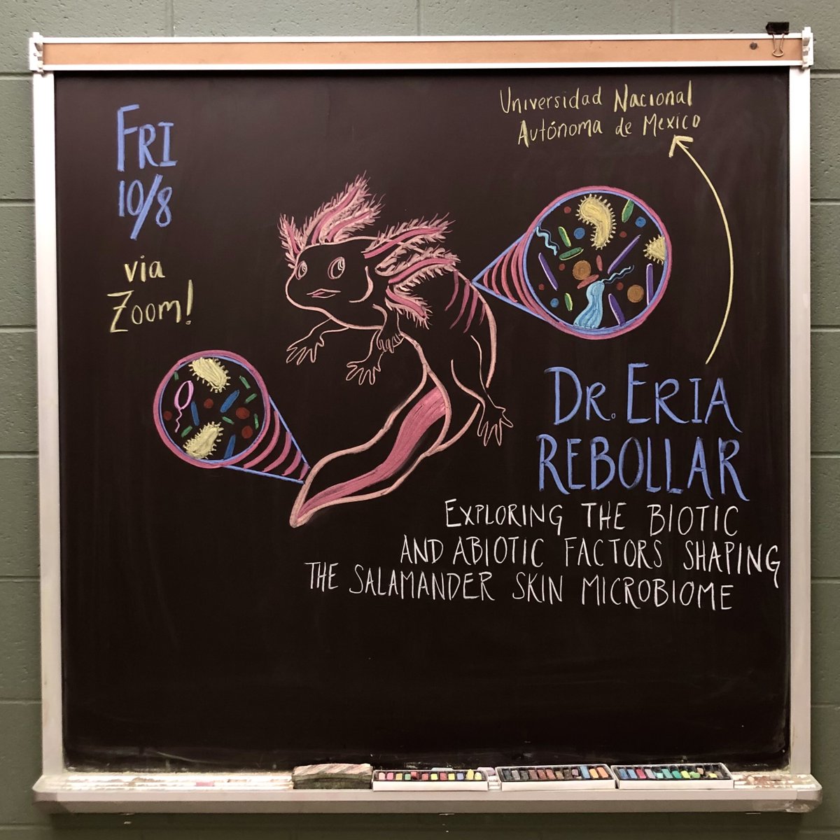 KBS Chalkboard tweet media