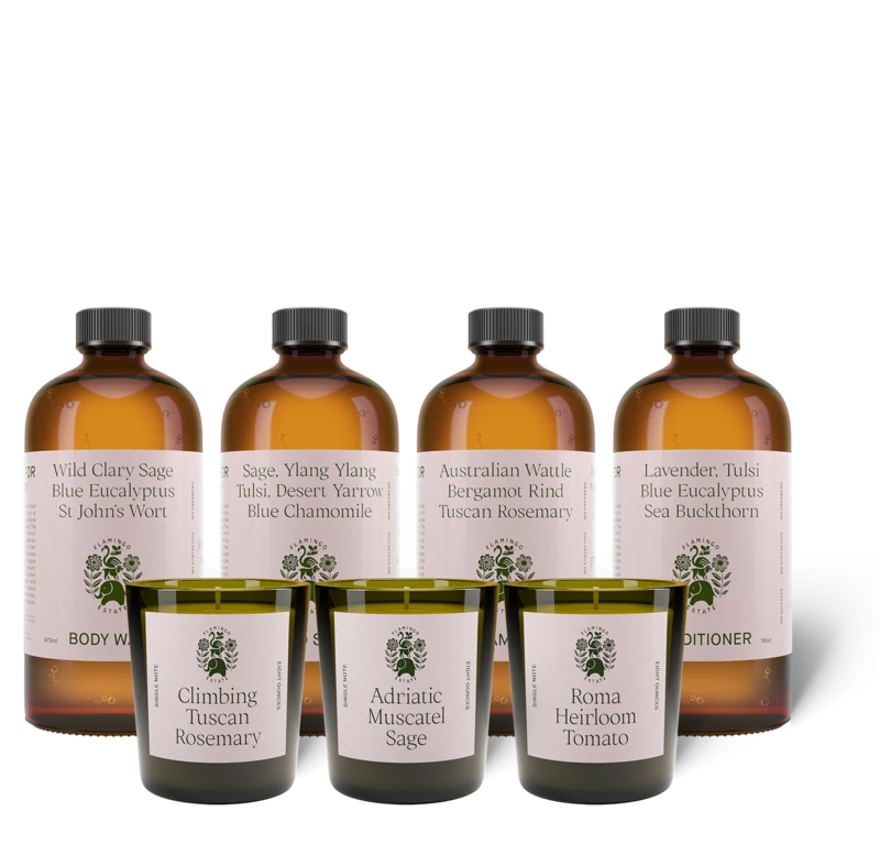 Big Bath Energy
Gift our complete set of bathing products paired with our best-selling candles
flamingoestate.com/collections/al…