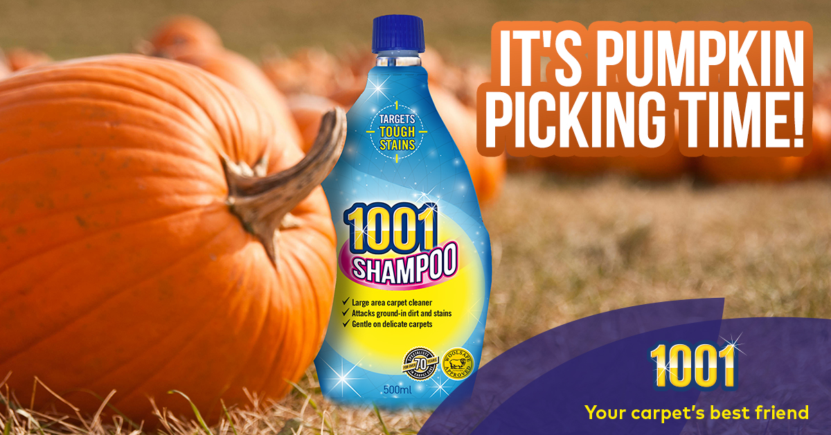 1001carpetcare's tweet photo. It's pumpkin picking season! 🎃 

Get the whole family wrapped up warm and spend an October afternoon at the pumpkin patch checking out all the weird, wonderful and warty pumpkins!

For pumpkin picking, painting, carving and cooking top tips click here: https://t.co/inkWR5I9MS https://t.co/y82Iv4O14l