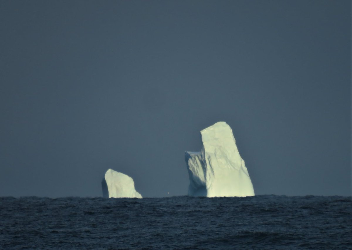 StudioOlafurEliasson tweet media