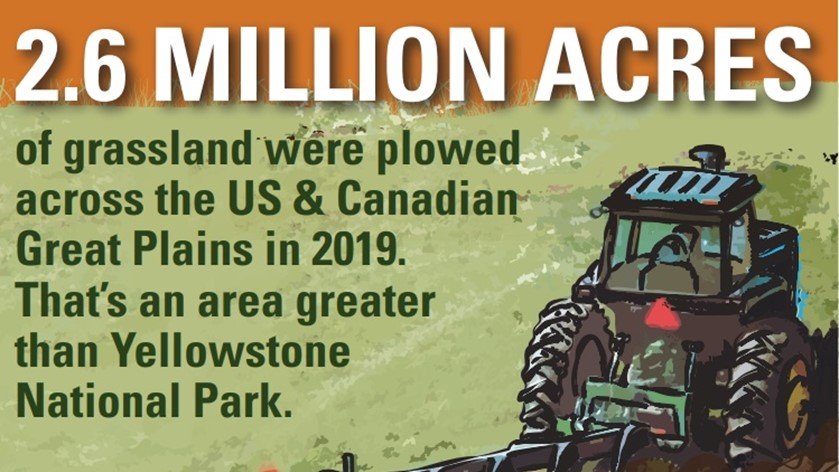 The 2021 Plowprint report from <a href="/WWF/">WWF</a> continues to show the extreme importance of protecting intact native grasslands, one of the most endangered ecosystems in the entire world. 1/2