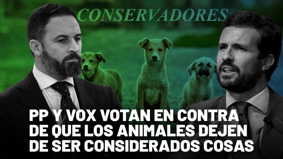 Ciudadanos 🇪🇸🇪🇺 tweet media