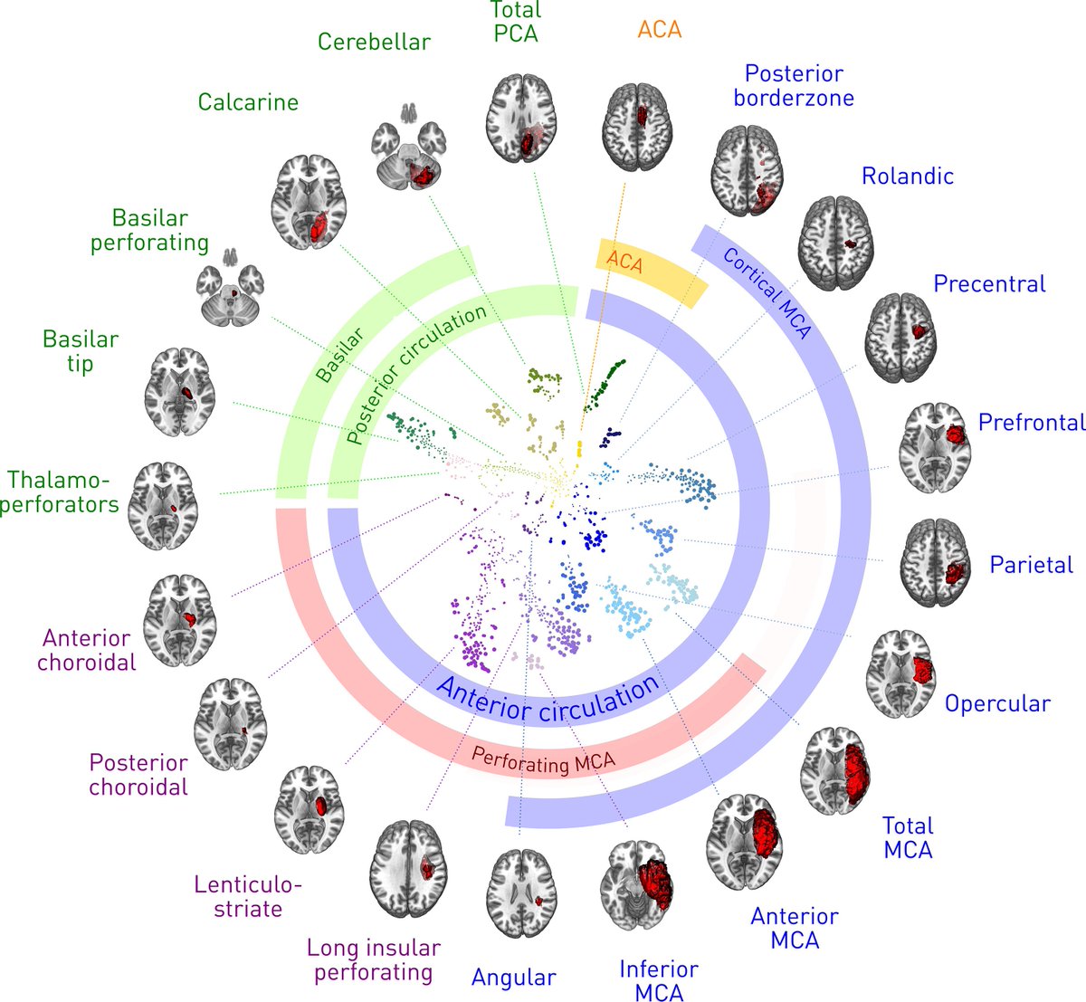 Patología Crítica tweet media