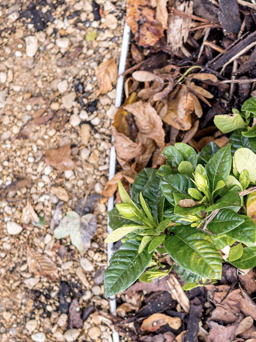 The social prescribing team at NHS Property Services has worked with Groundwork and the Wimbledon foundation to improve the health and wellbeing of local communities like this.

👏👏👏