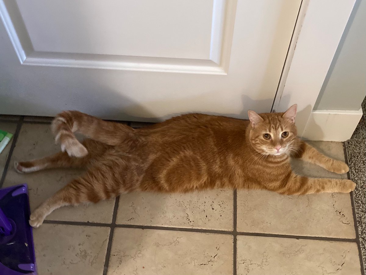 hanlemke's tweet photo. the boncho sprawl https://t.co/XBTrsBmLpA