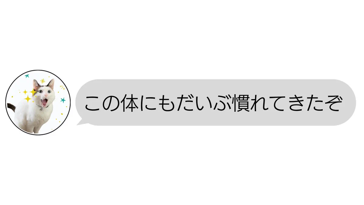 猫語翻訳しなければ、気付かずに済んだのに…「一体中には誰が入っているのだろう」