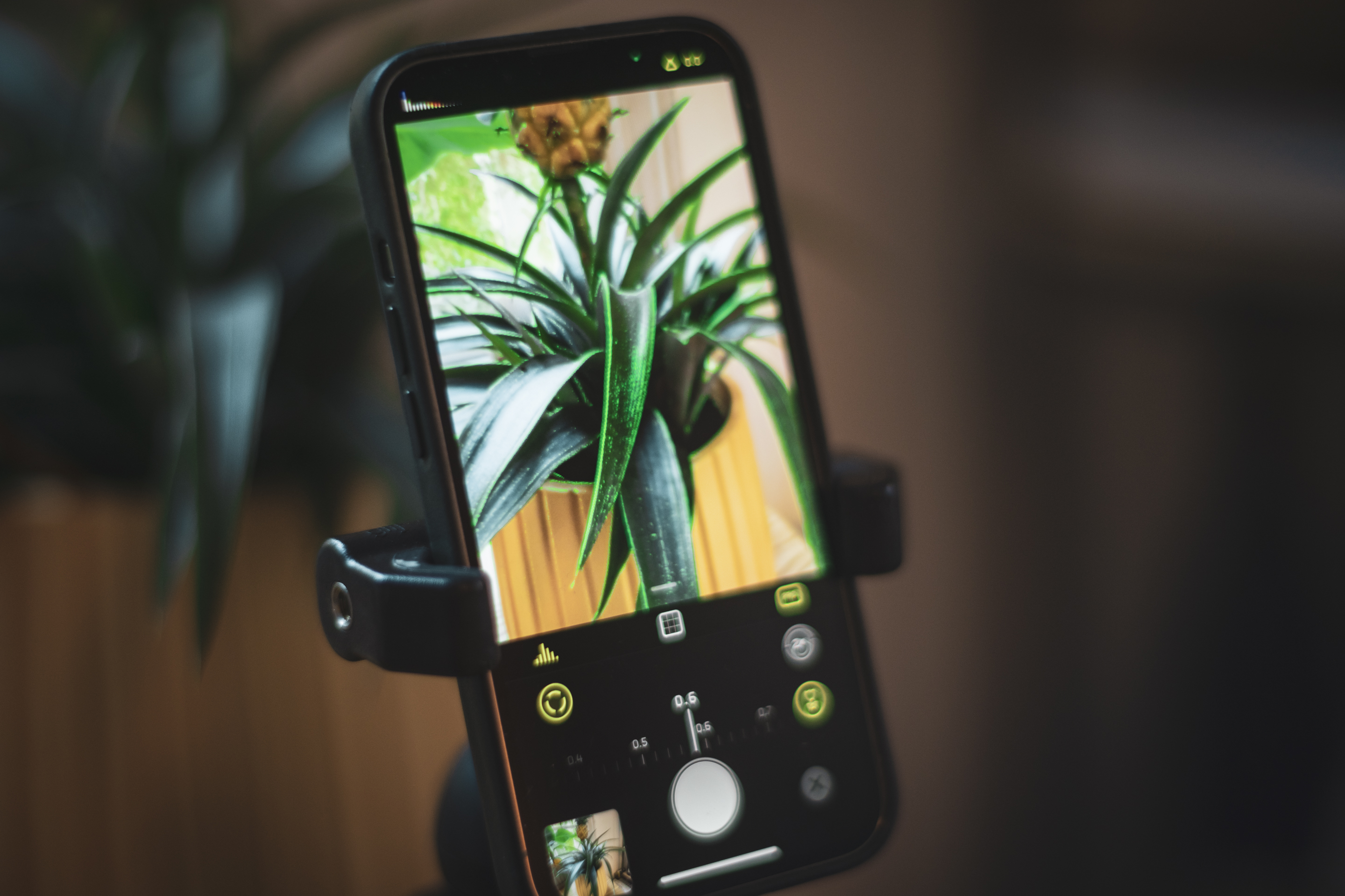 Halide on X: Tap AF to disable autofocus and enter manual focus mode.  Then tap the flower to enable Macro Mode. Smart things start happening  here: Halide finds the closest-focusing lens on