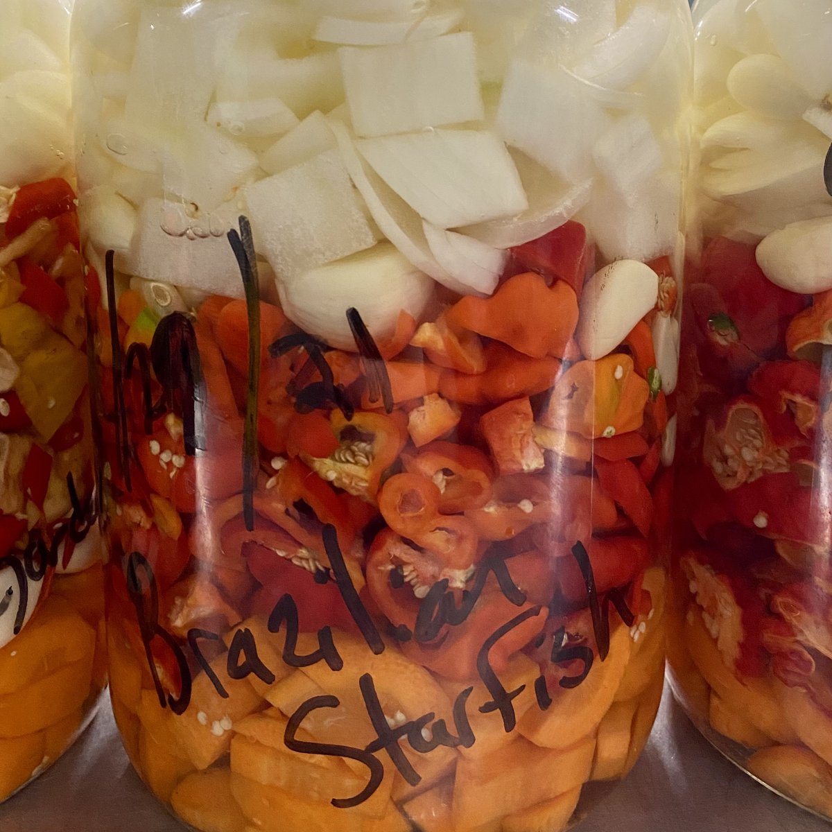 powerfulpep's tweet photo. I decided to do a run of basic recipe sauces (all the same except for the pepper) to highlight different garden peppers. Here’s #3 Brazilian Starfish #hotsauce #fermentedfoods #spicy #powerfulpepperco https://t.co/gpMBm3x5T1