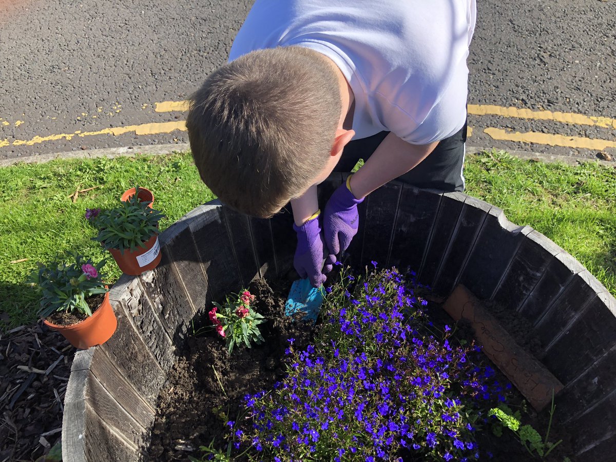 New garden groups bring new garden challenges! 🌱 Proud of the progress made by our Garden Technician group <a href="/drumchapelhigh/">Drumchapel High</a> today in the sunshine ☀️ <a href="/AllyHarris12/">Ally Harris</a> <a href="/IainCorbett88/">Iain Corbett 💜</a>