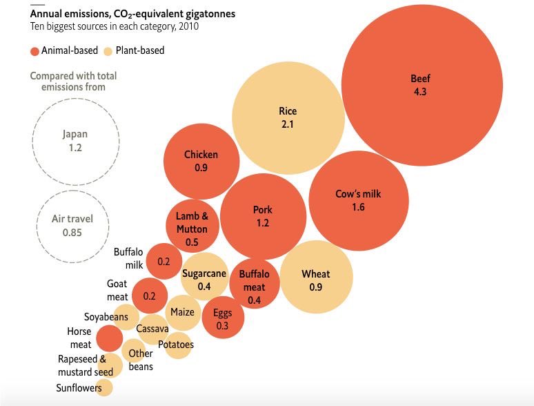 Skal det være en stor saftig biff på en seng av ris?

.. og kan vi friste med et glass Co2 melk til forretten kanskje?