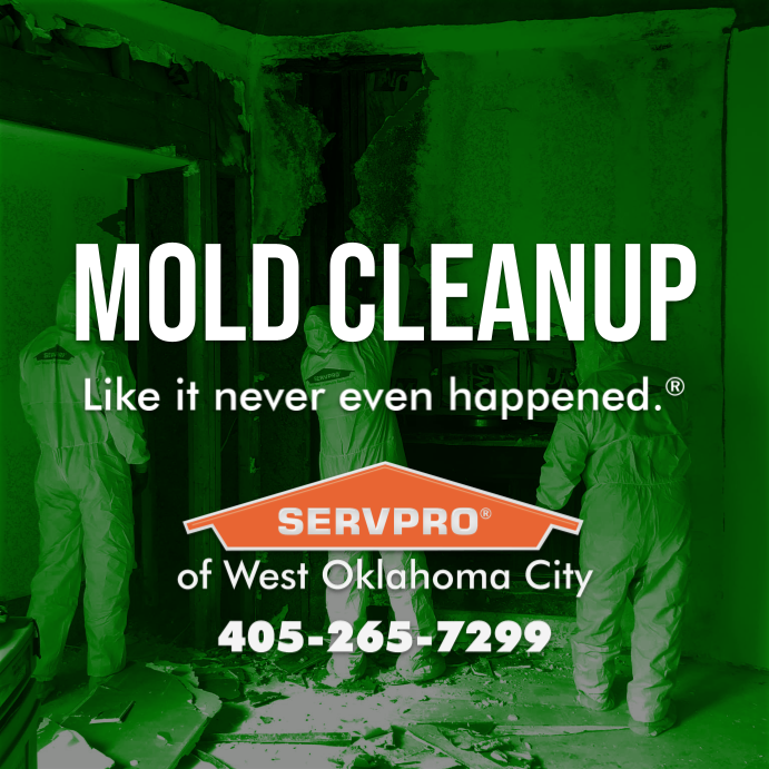servprowestokc's tweet photo. If your home or business has a mold problem, we can inspect and assess your property and use our specialized training, equipment, and expertise to remediate your mold infestation immediately. 

Until help arrives, check out these mold damage tips: https://t.co/kVL9im1qak https://t.co/5wlTR9SHCB