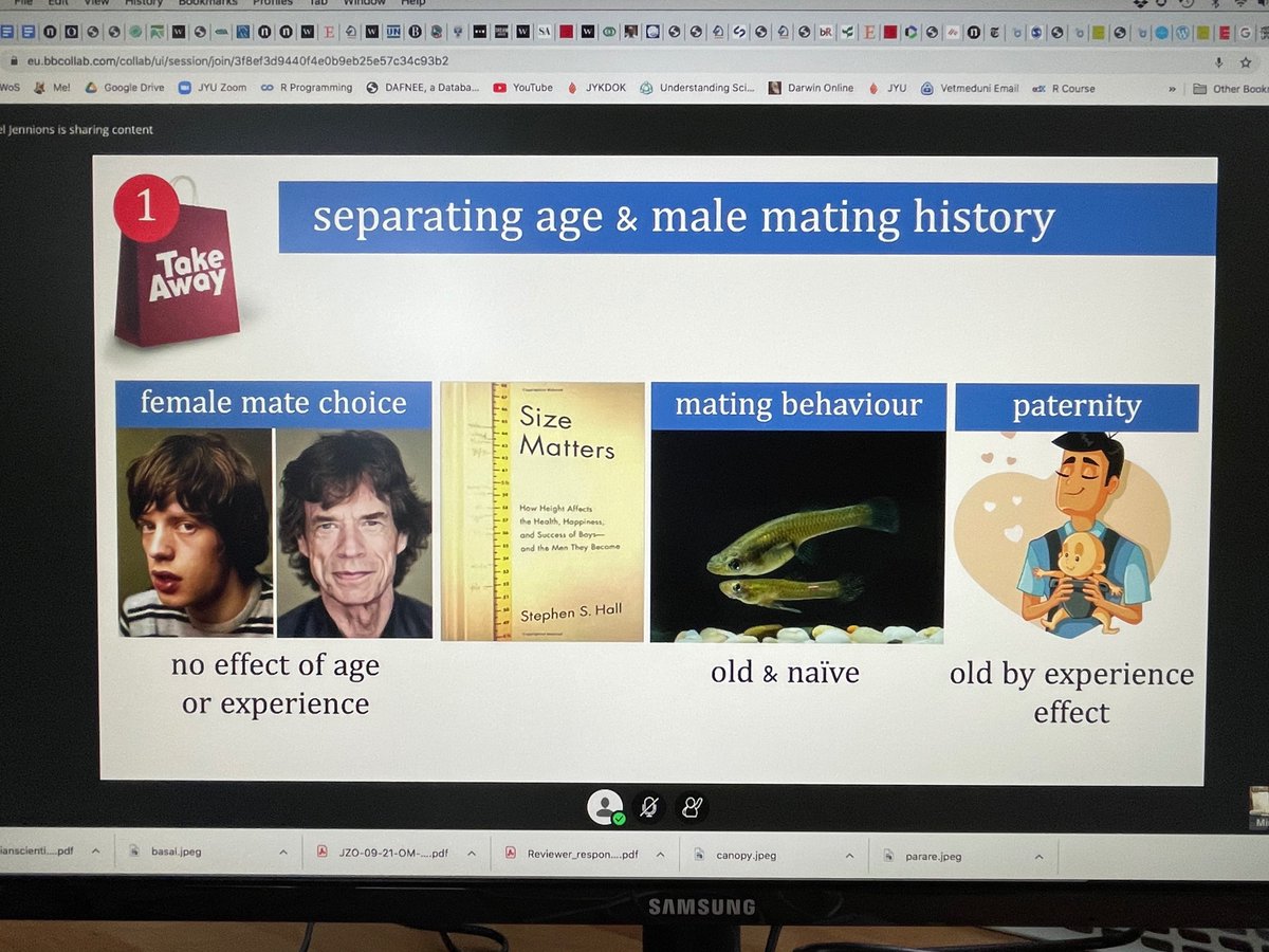 biobiiana's tweet photo. Great start to the 2021-2022 @VetmeduniVienna’s #KLIVV #FIWI seminar series with @Mikejennions talking about why some males are winners, using the Eastern mosquitofish as study system 🐟🐟 https://t.co/HUyWVQcA8M