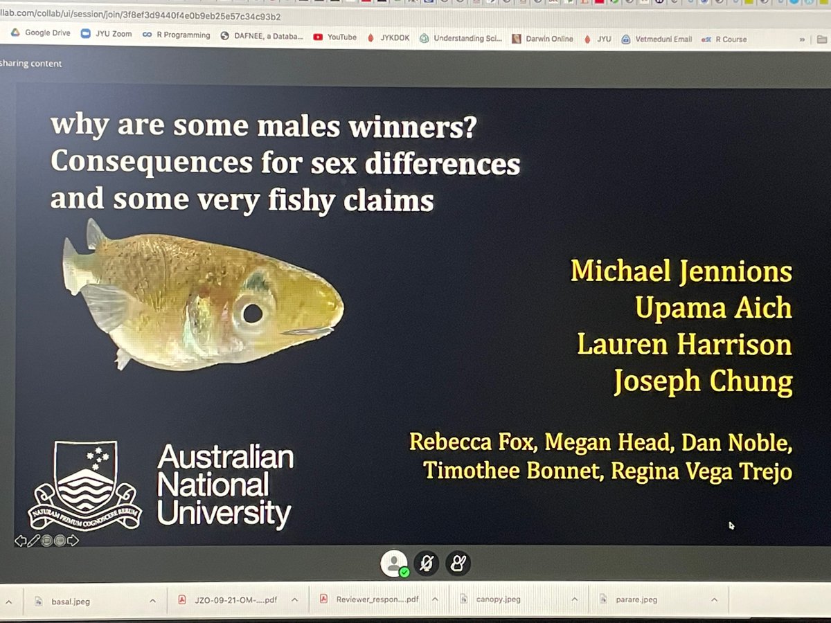 biobiiana's tweet photo. Great start to the 2021-2022 @VetmeduniVienna’s #KLIVV #FIWI seminar series with @Mikejennions talking about why some males are winners, using the Eastern mosquitofish as study system 🐟🐟 https://t.co/HUyWVQcA8M