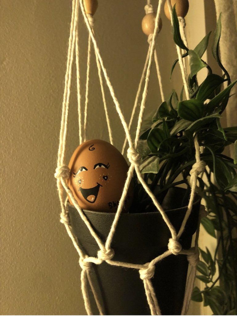 Lavington Sixth Form Campus tweet media