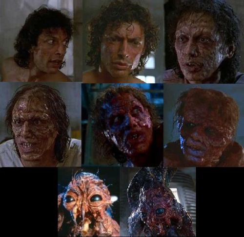 TheGoodspodcast's tweet photo. #HorrorSection
Be afraid,Be very afraid!
Jeff Goldblum is perfection as Seth Brundle in the 86 remake to The Fly!Outstanding make up by Chris Walas and possibly Cronenberg's best film! ⭐⭐⭐⭐/5
Released:2/13/86
Director:David Cronenberg
Starring:Jeff Goldblum;Geena Davis https://t.co/P9NbR5FmAR