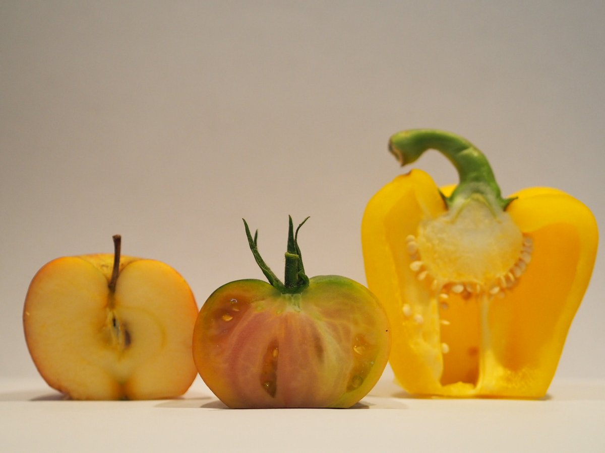 My daughter started GCSE Photography three weeks ago. She’s already learnt more than I have in 20 years.