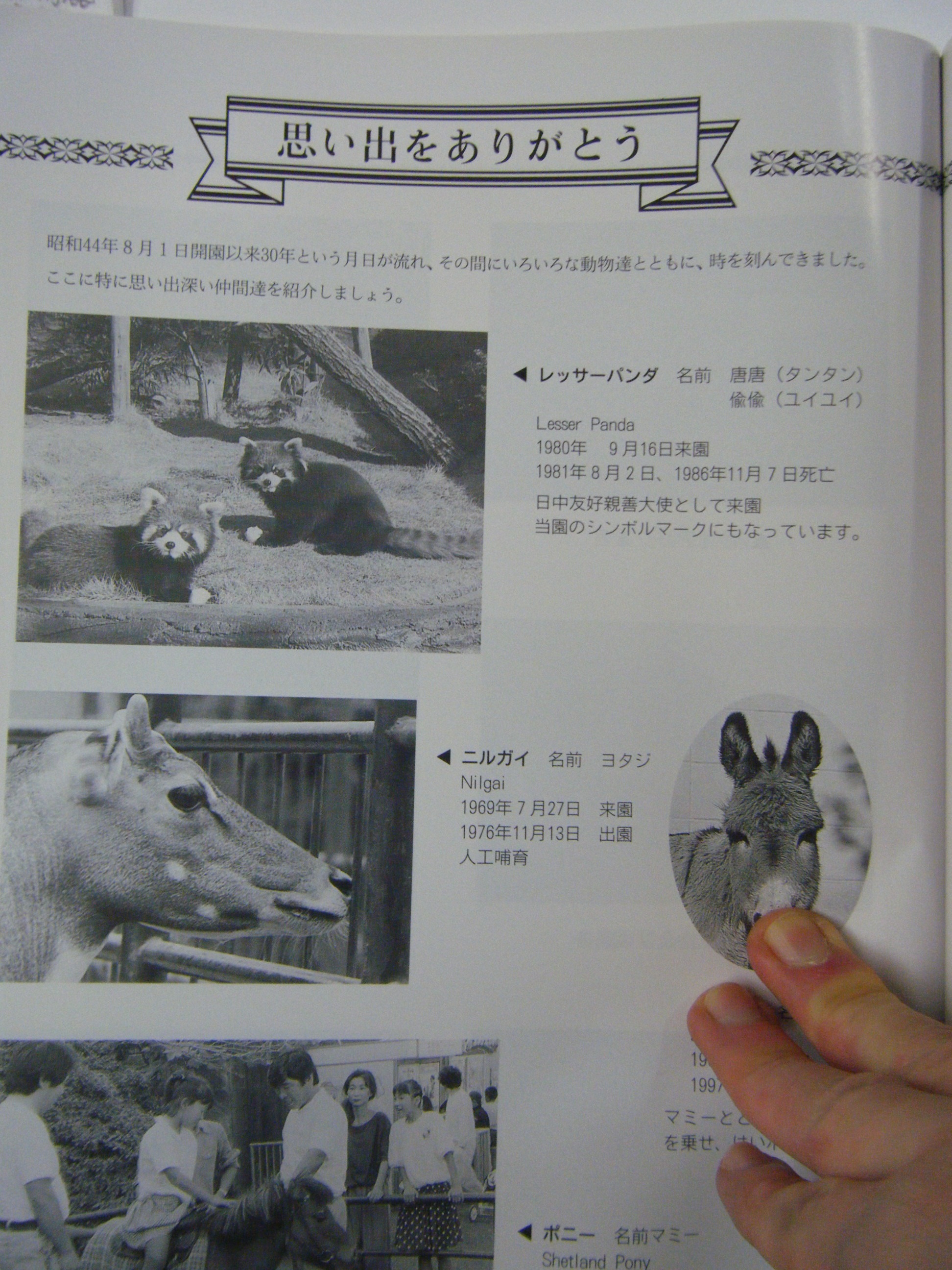 Japan 児島未散 Michiru Kojima 一歩ずつの季節 PIDL 1045