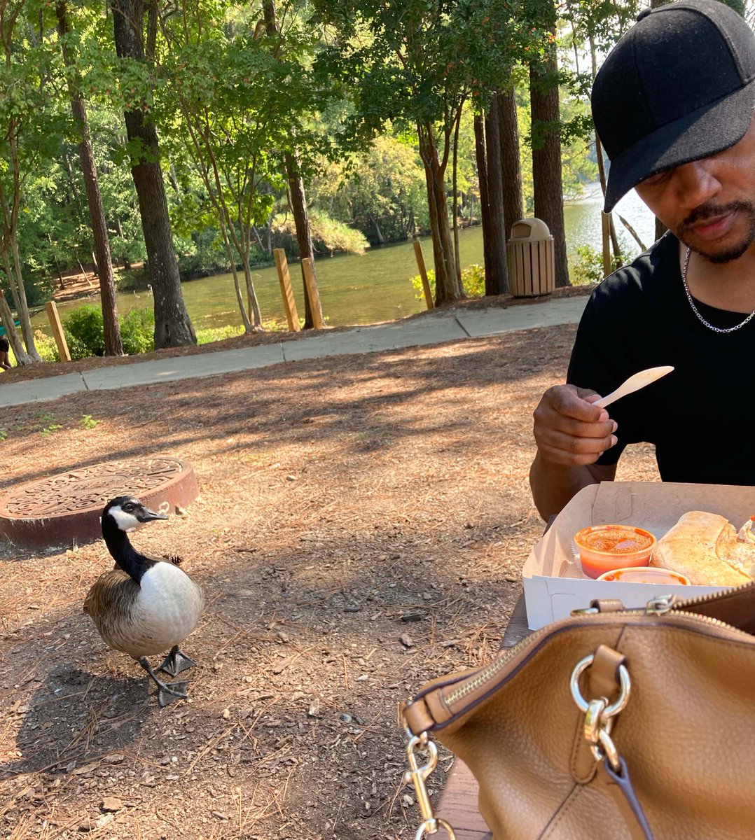 H.B.S.U? On set: First, Mr. Goose photo bombed me, then he raided the craft services table, and then he demanded a close-up! Look at the arrogance on his face... #filmmakers #blackfilm #blackfilmmakers #blackfilmdirectors #blackmovies #indiefilm #indiefilmmakers #BlackTwitter