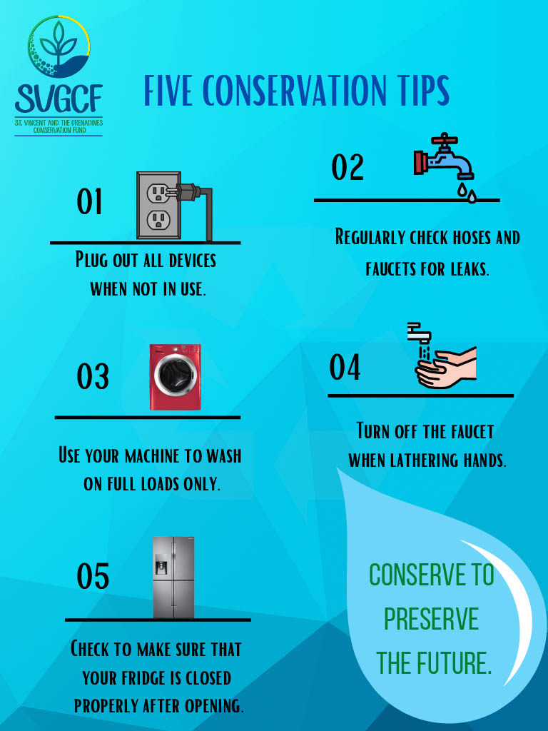 SVGCF_'s tweet photo. There are hundreds of ways we can make efforts to conserve, but these are just a few below. Can you think of any others?
#conservation #SVGCF https://t.co/nQkftEoJfI