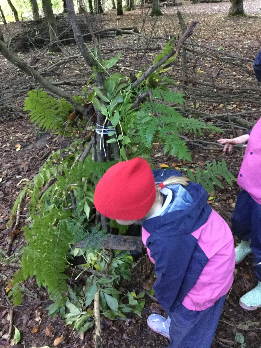 PipersForestSch's tweet image. Year 1 @PipersPrePrep made super forest homes for our forest fairies #pipersyear1 #pipersforest #pipersoutdoors #pipersfun