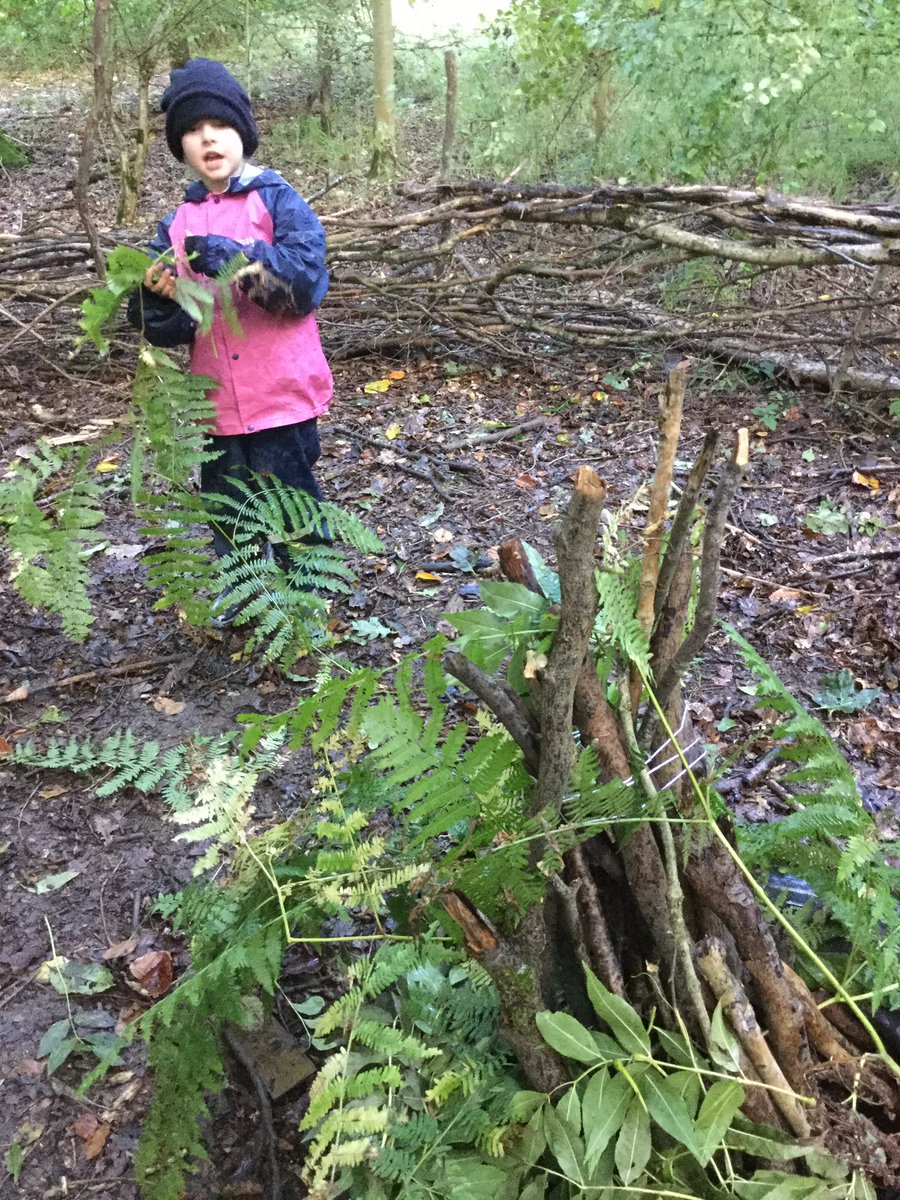 PipersForestSch's tweet image. Year 1 @PipersPrePrep made super forest homes for our forest fairies #pipersyear1 #pipersforest #pipersoutdoors #pipersfun
