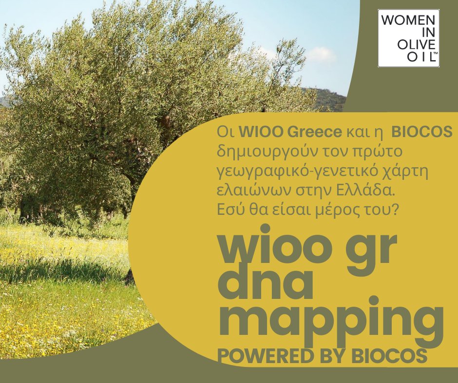 The Geo-Genetic Mapping of Olive Groves represents our newest initiative in <a href="/BioCoS_/">BioCoS</a> , and <a href="/womeninoliveoil/">Women In Olive Oil</a> Greece embrace this action and pave the way towards a sustainable olive oil industry that valorizes its producers.
#DNA #Authenticity #EVOO #Sustainability