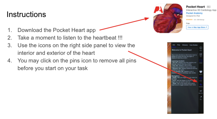 mmeetk's tweet photo. Year 8 Science - Circulatory System - students studied the structure of the heart and watched the heart pumping blood through virtual learning using Augmented Reality - Pocket Heart app. #his_learning https://t.co/oiAh8bVl2i